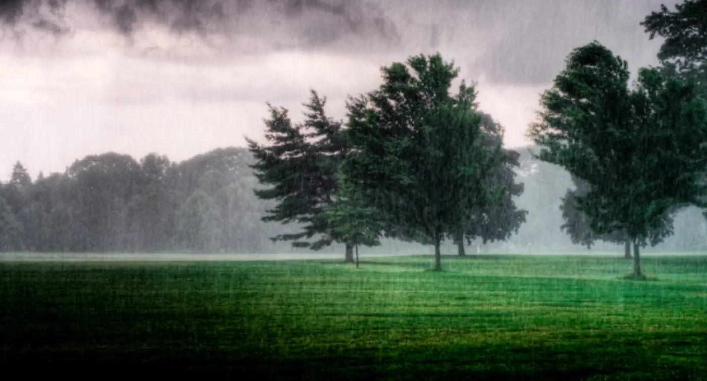 Stormy Days