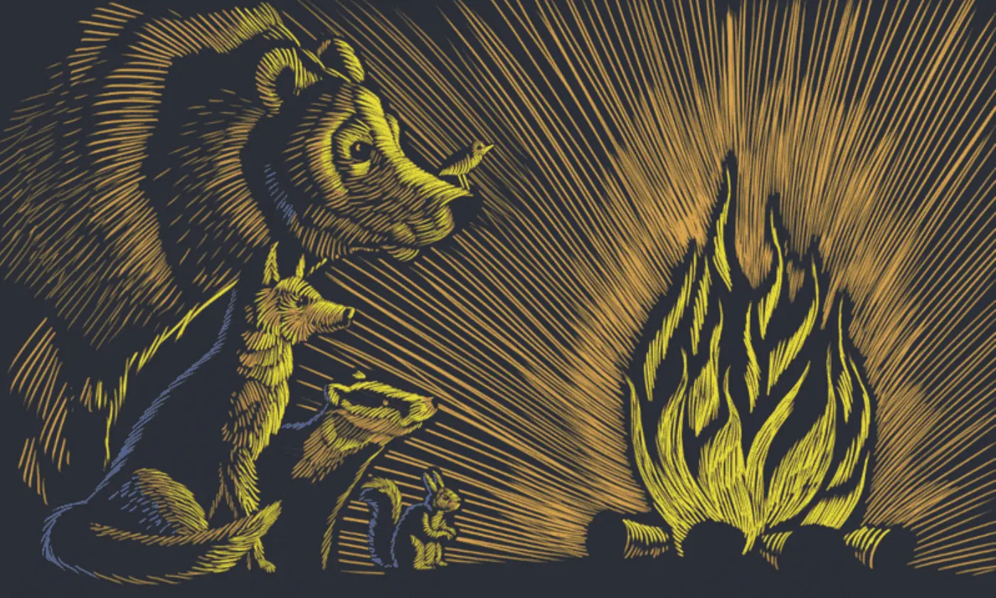 Illustration of a bear, fox, badger, and squirrel looking into a fire. Taken from the Bonfire website.