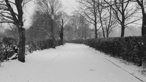Animated gif of snow falling