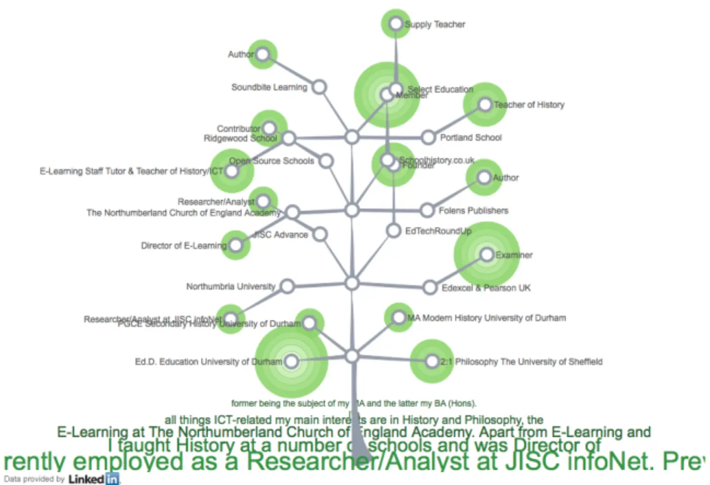 LinkedIn treemap