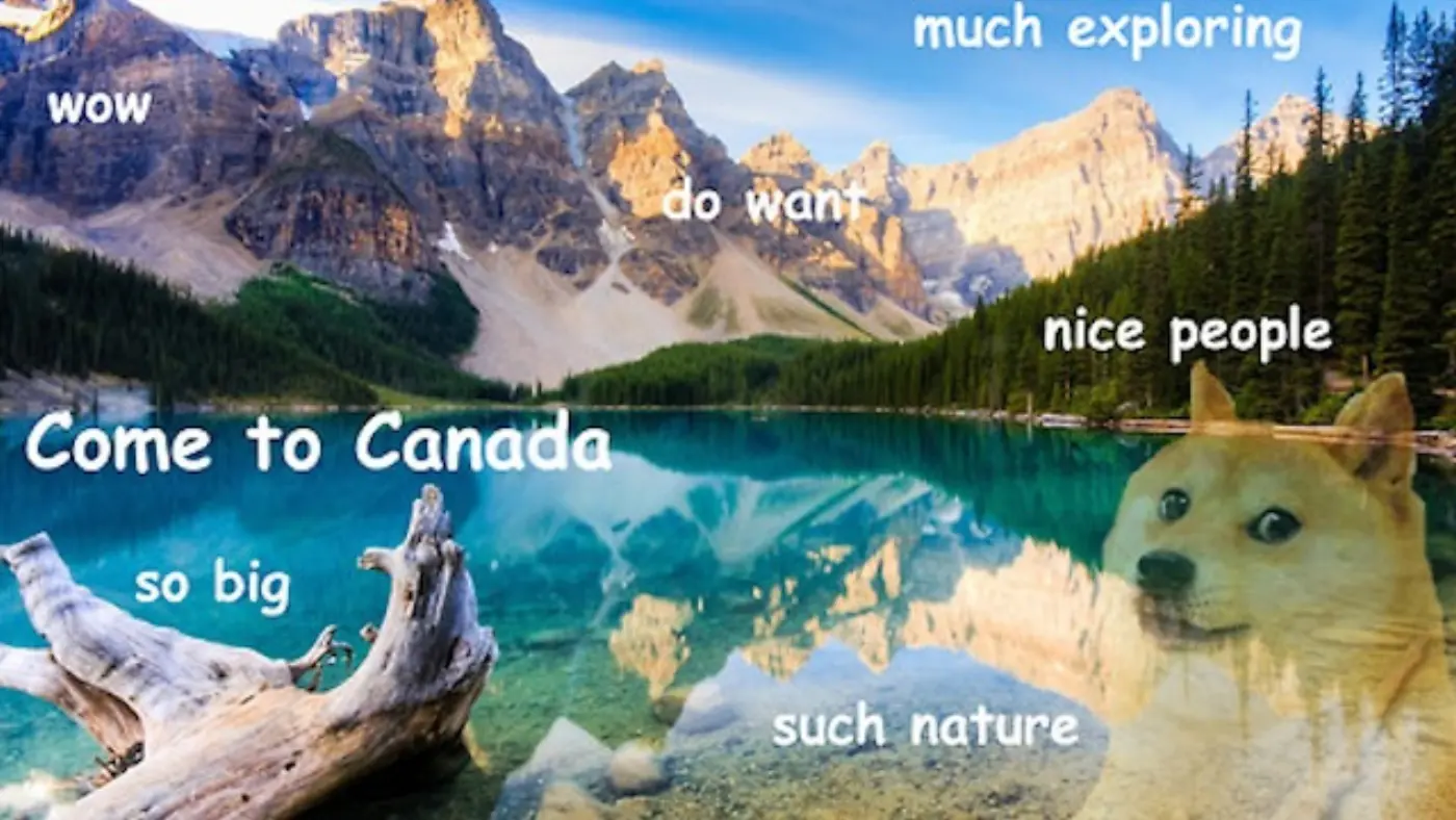 Doge Canada