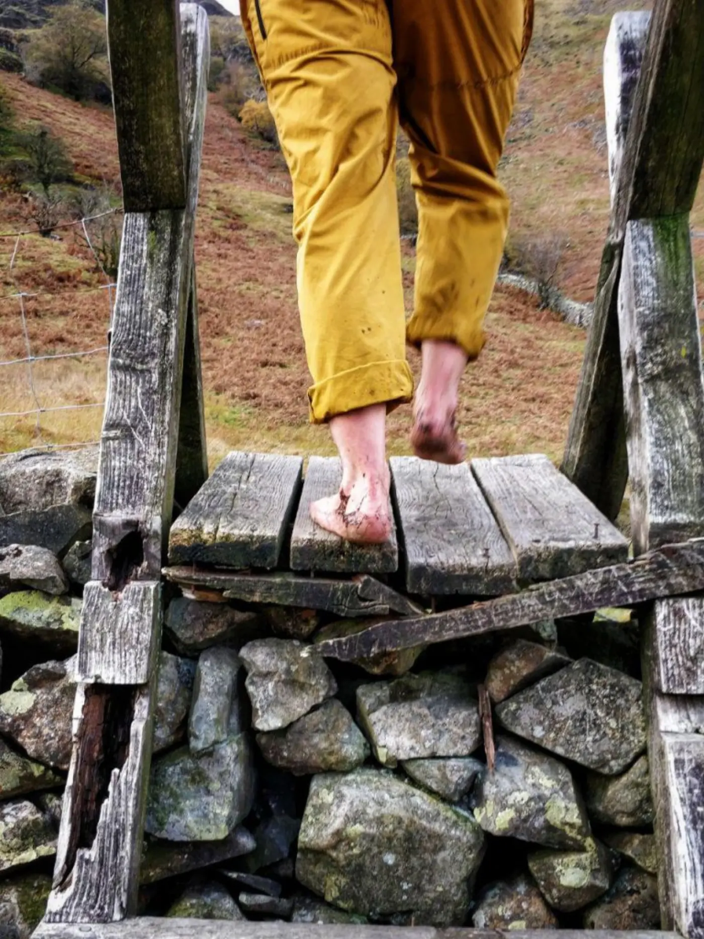 Dai going over a stile