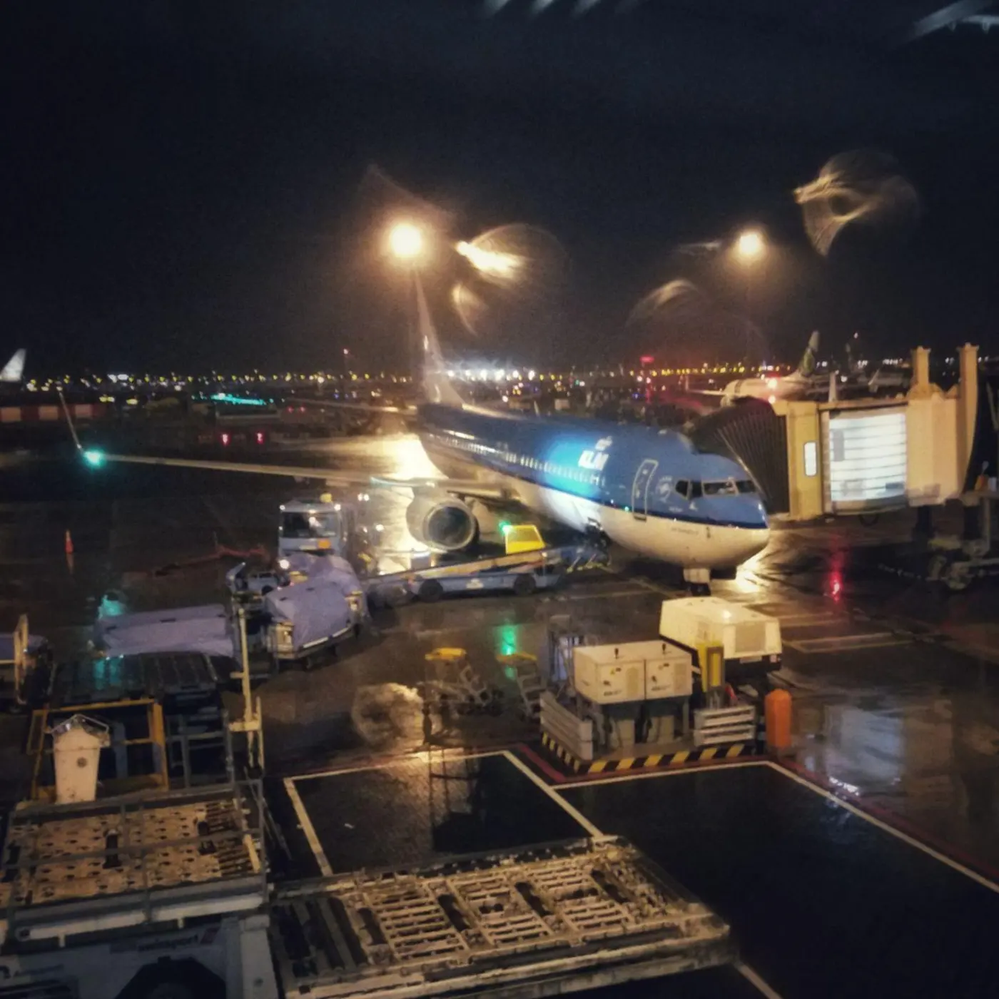 KLM flight home