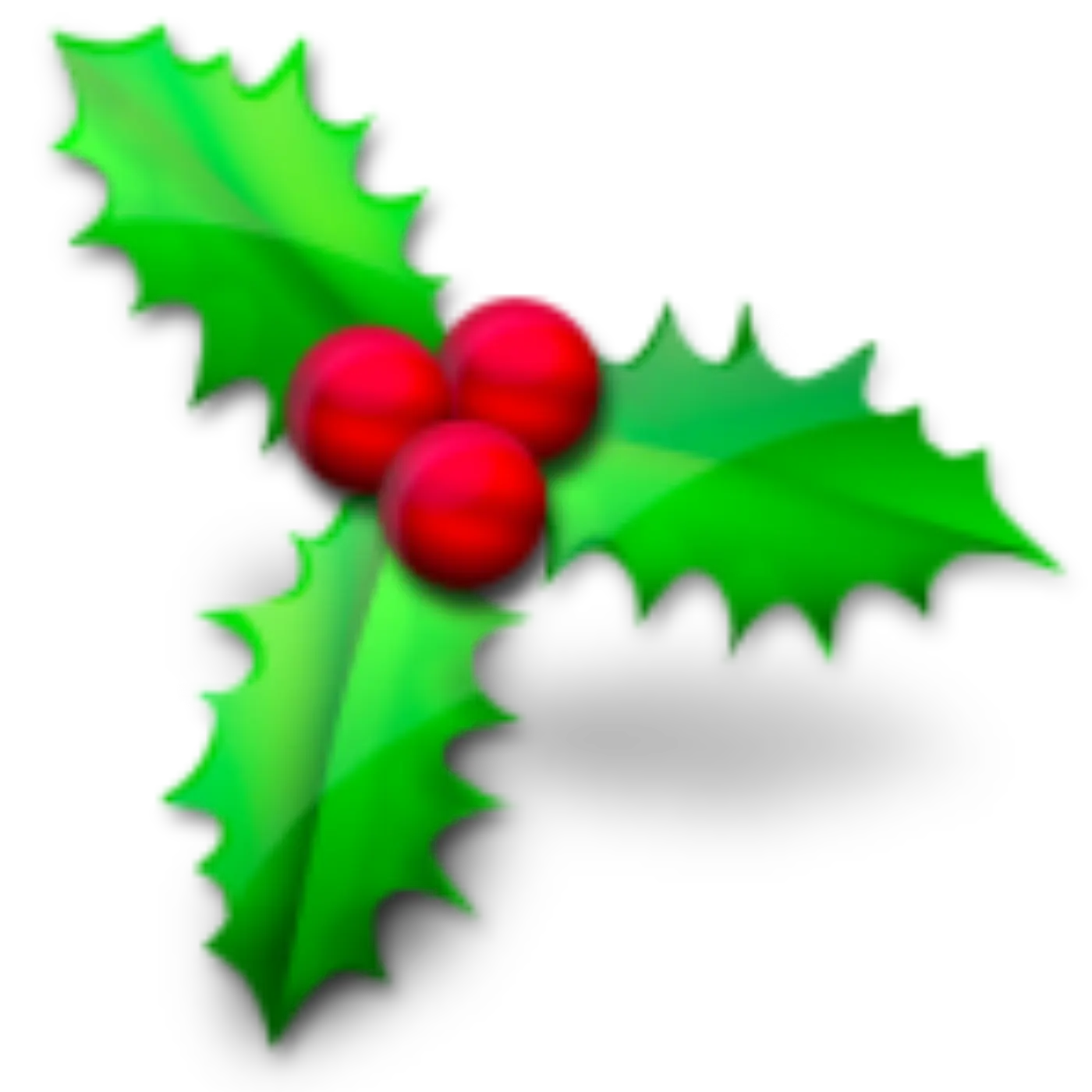 Christmas holly