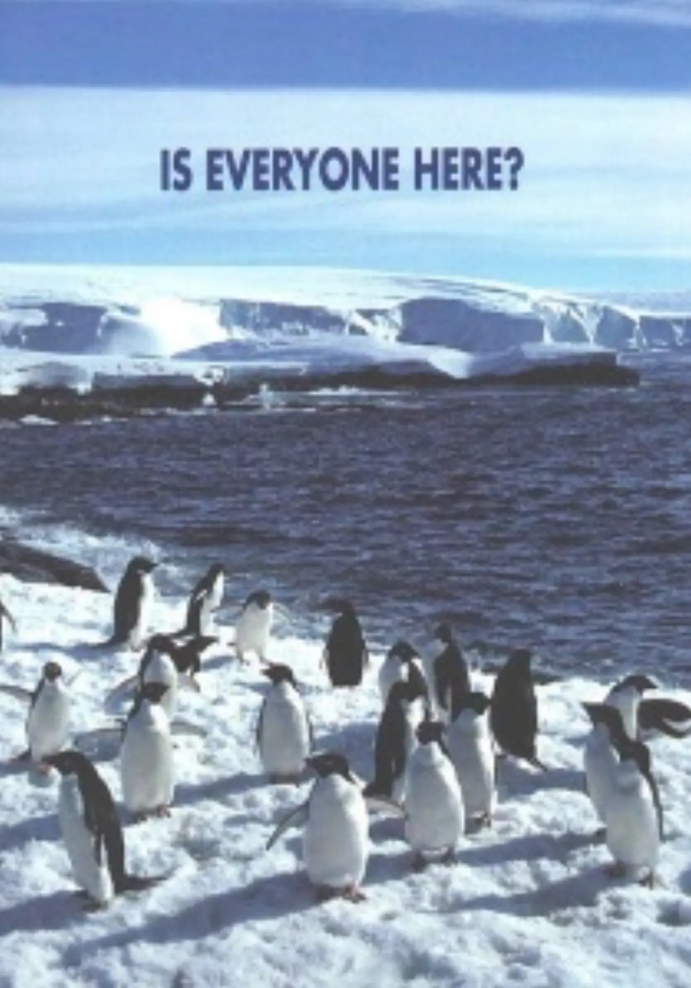 Is Everyone Here?