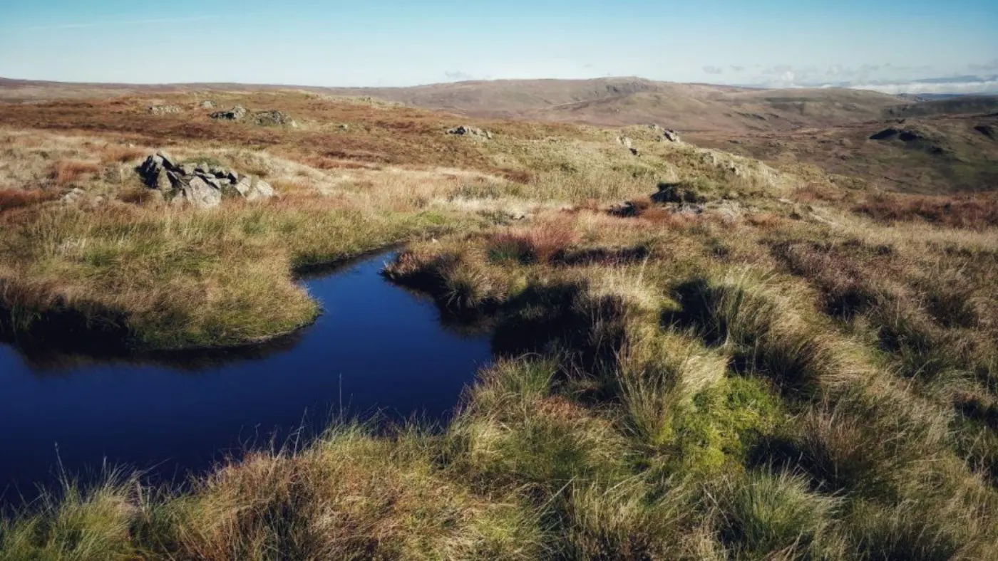 Tarn