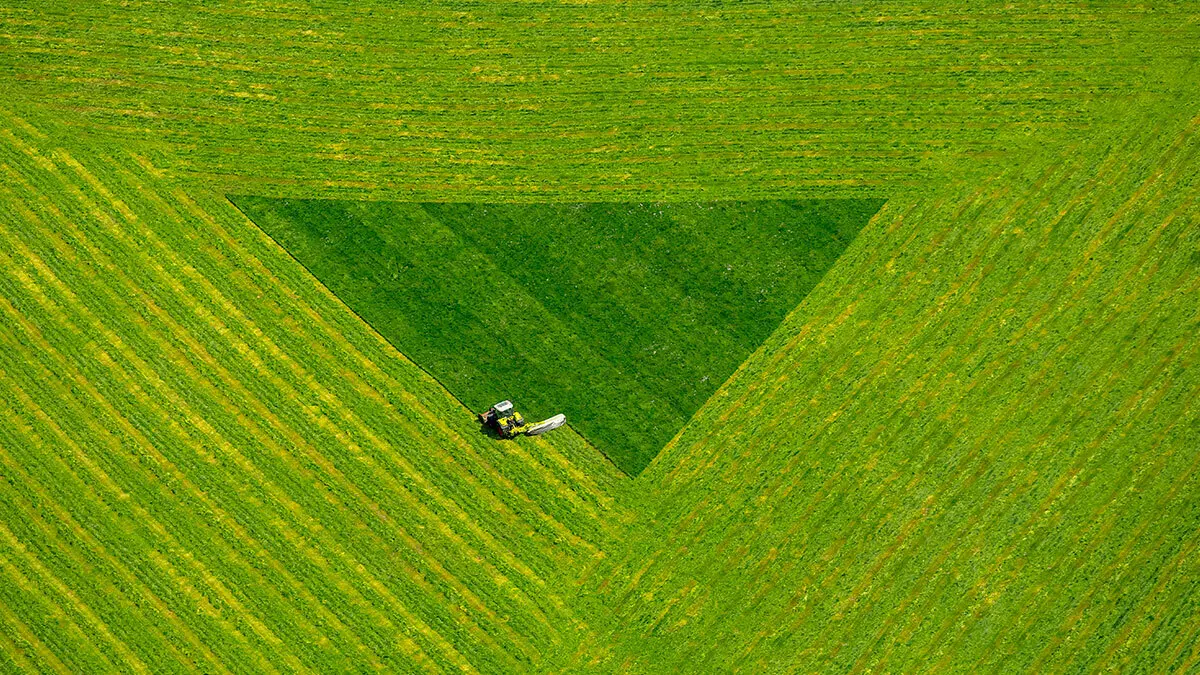 Perfectly-mown grass
