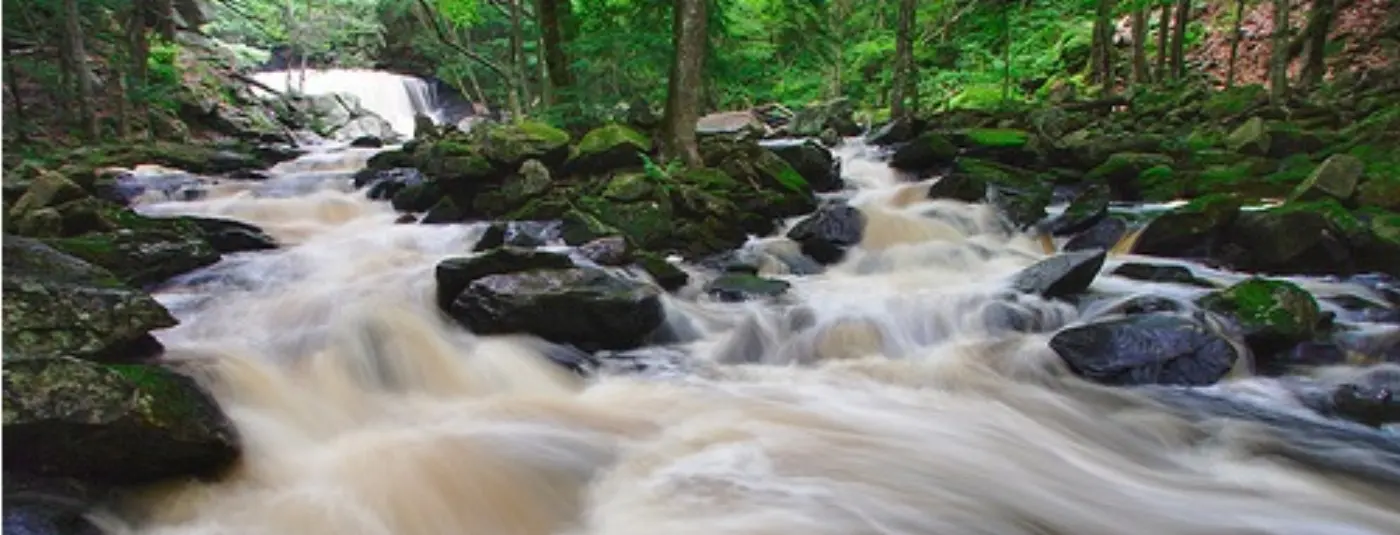 stream