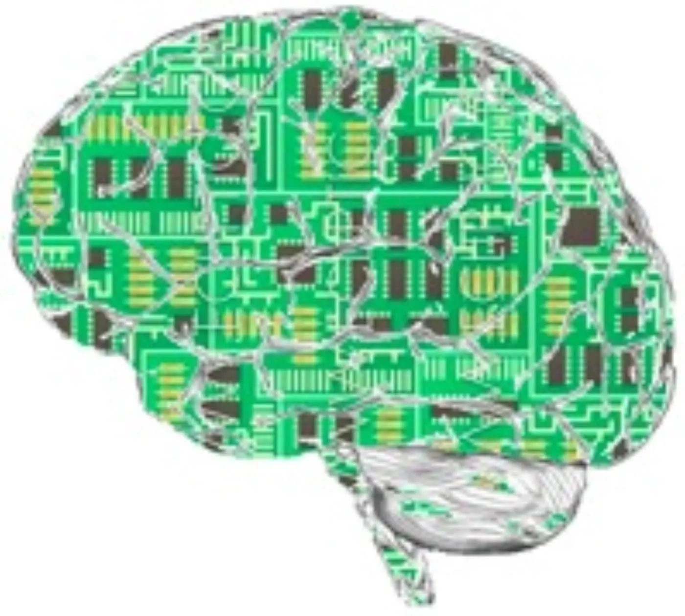 Artificial Brain