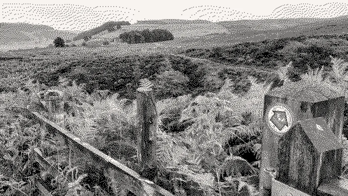 North York Moors
