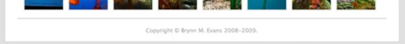 Brynn - blog footer